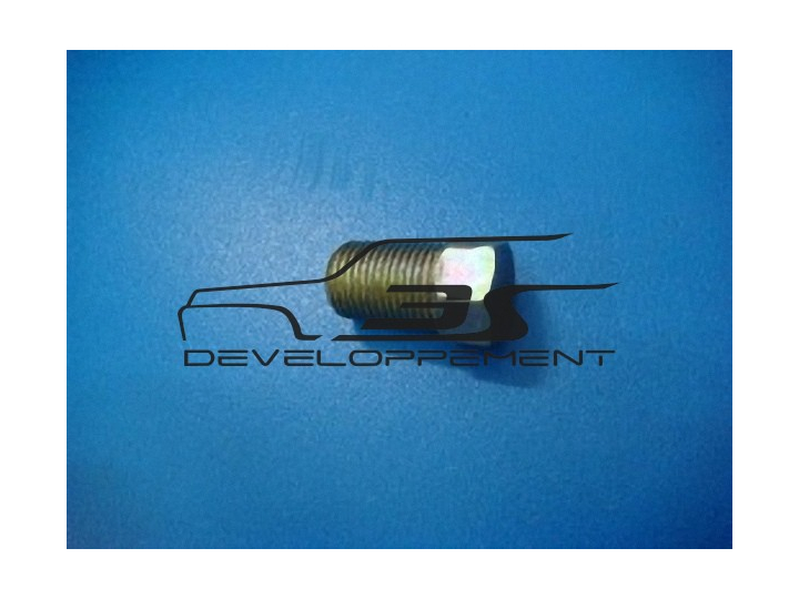 Bouchon de vidange du bloc moteur