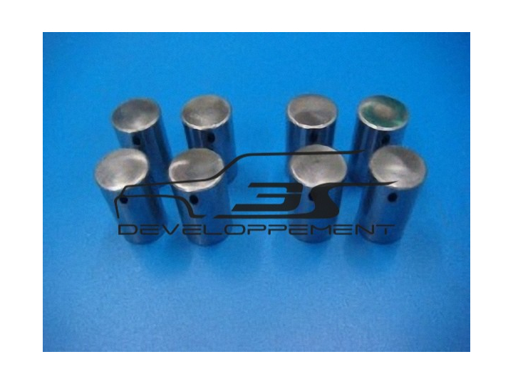 Poussoirs R5 Turbo diam 19mm avec traitement de surface. Très bonne qualité ( le jeu )