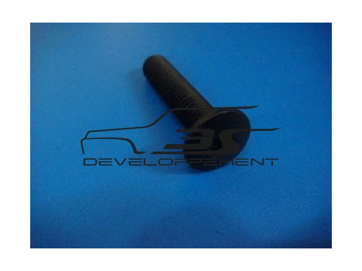 Vis de pare choc AV ou AR