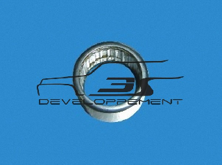 Roulement aiguille de direction directeTOUR DE CORSE