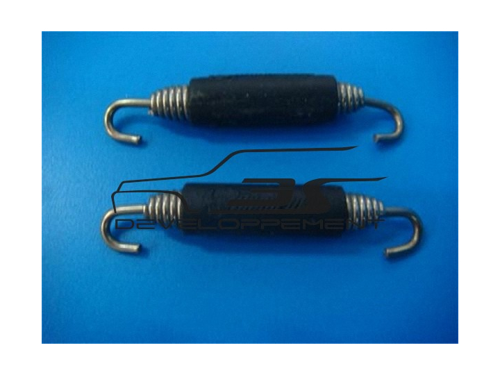 Ressort pour échappement (la paire)