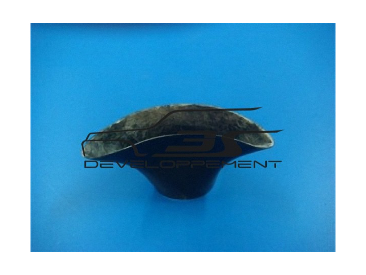 Ecope frein AV   D ou G cote disque