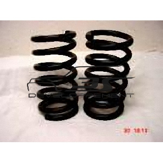 Ressorts avant EIBACH long 160 - diam 60  - 100 Kg