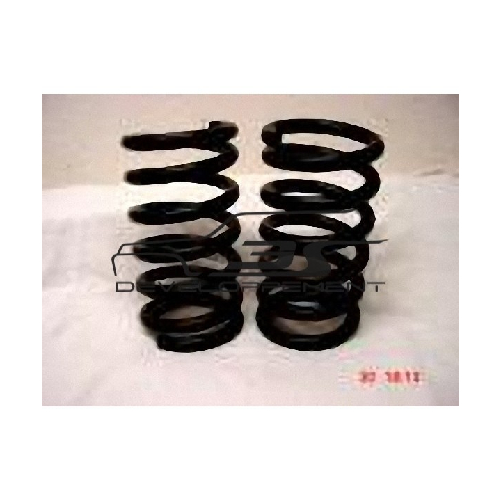 Ressorts avant EIBACH long 160 - diam 60  - 100 Kg