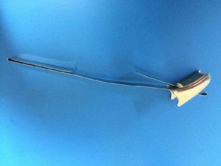 Collier de serrage Renault Sport (à l'unité)