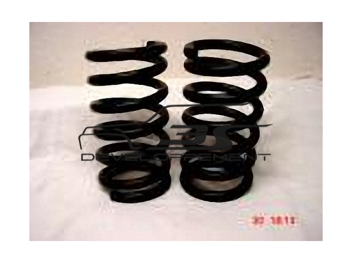 Ressorts avant EIBACH long 160 - diam 60  - 80 Kg